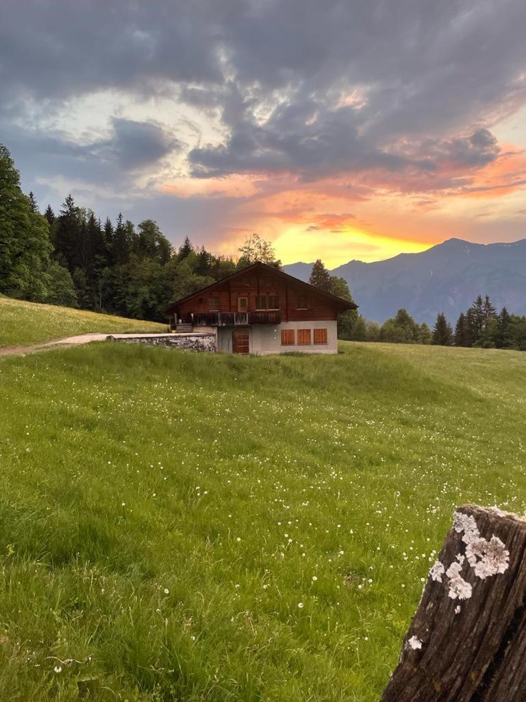 Chalet Mit Alpenambiente Axalp Бриенц Екстериор снимка